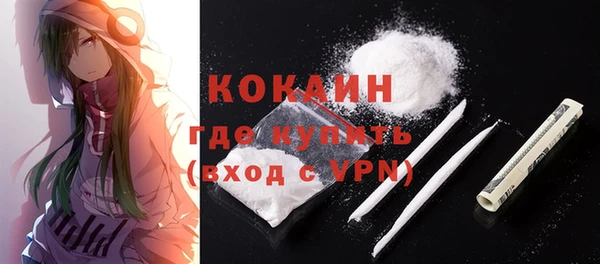 гидра Лихославль
