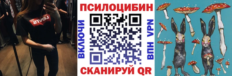 Галлюциногенные грибы мухоморы  Купить закладки  Горячий Ключ 